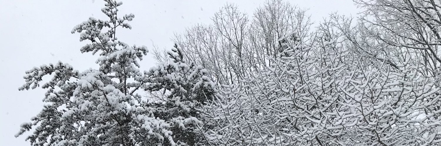 madisonwwood's profile banner image