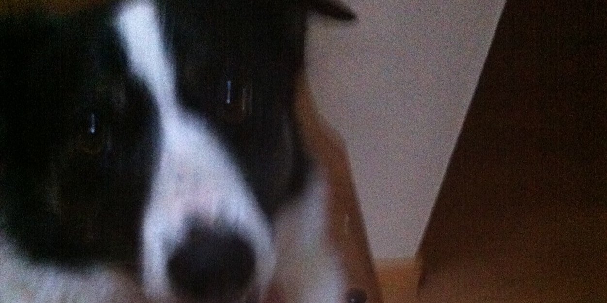 Paddy Sweeney banner