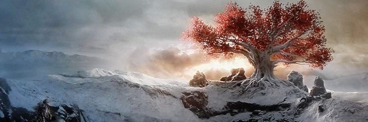 BrunnoCesar's profile banner image