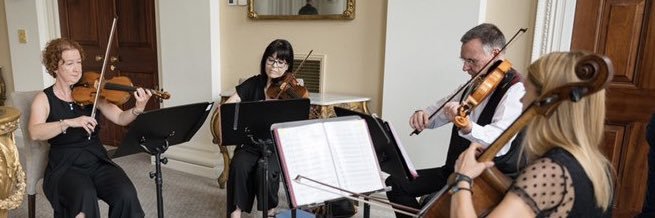 Ariella Strings Live Music banner