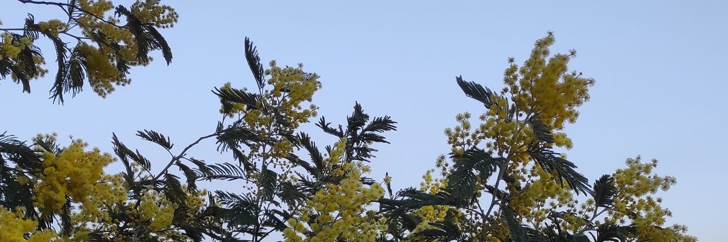 Elekatheory's profile banner image