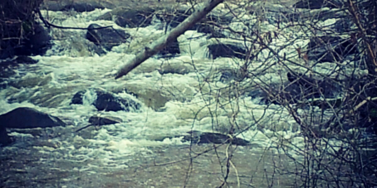 Backwoods_casey's profile banner image