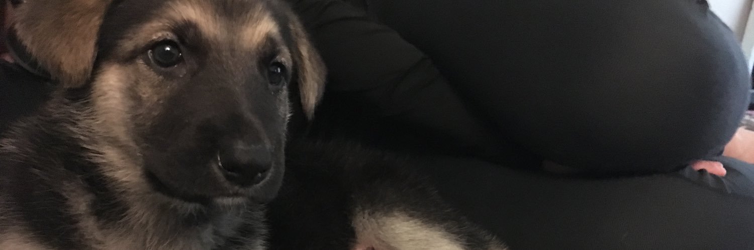 KayleeClary's profile banner image