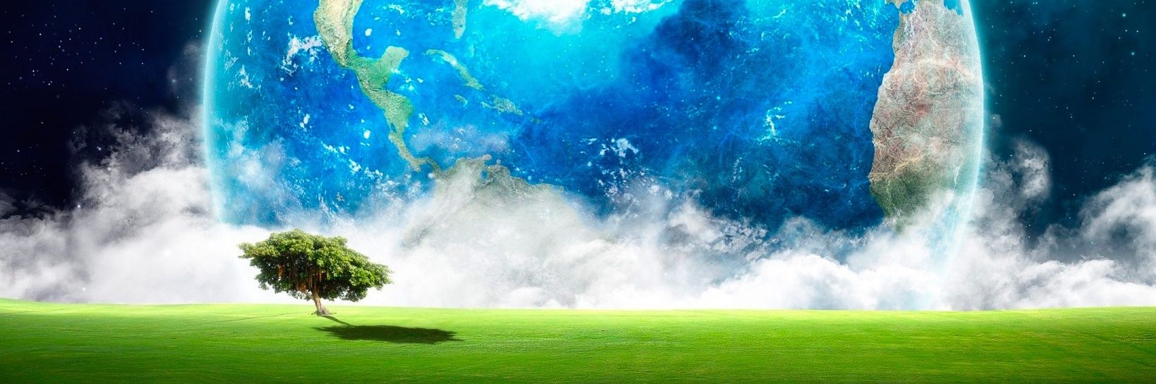 davidnomito's profile banner image