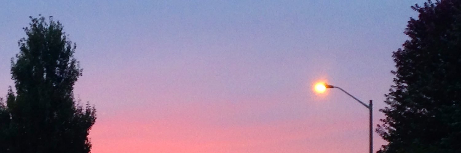 Stefani Marie banner