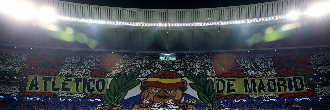 PoyoColchonero's profile banner image