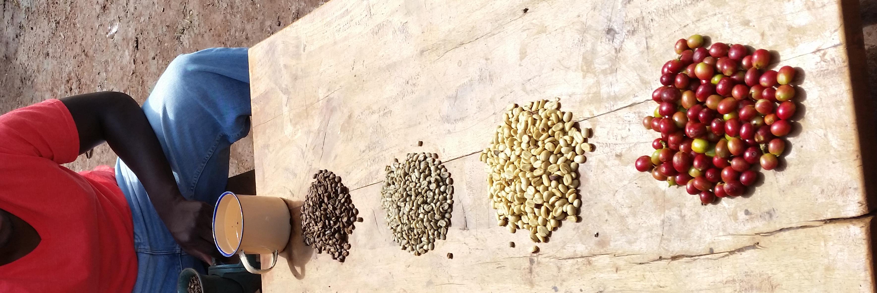 Chanzo Coffee banner