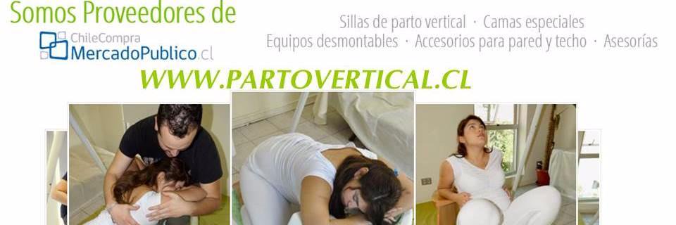 PartoHUMChile's profile banner image