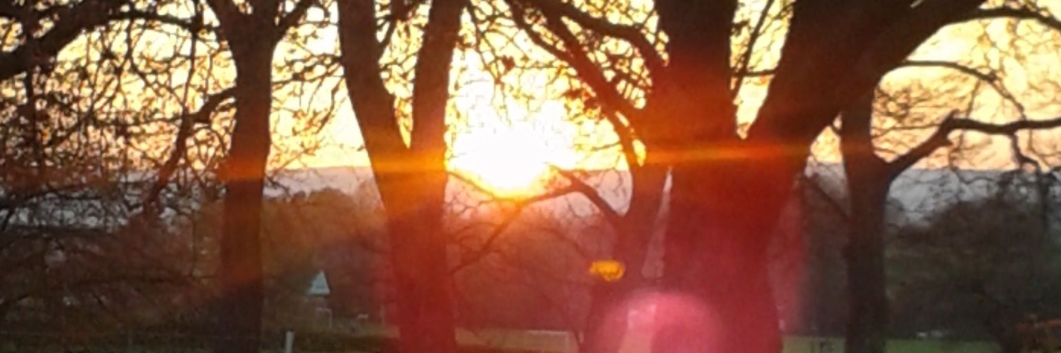 David Cheetham banner