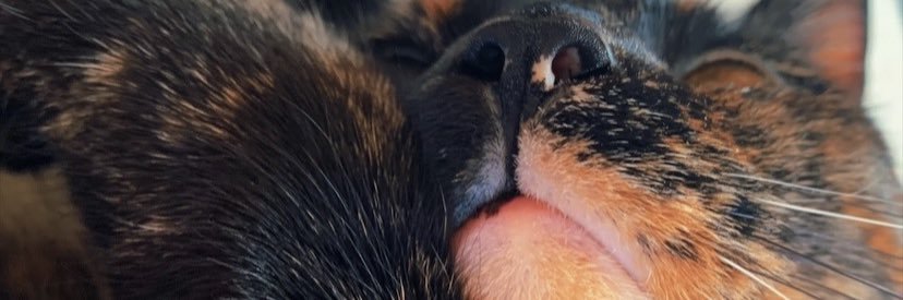 _morgannn2's profile banner image