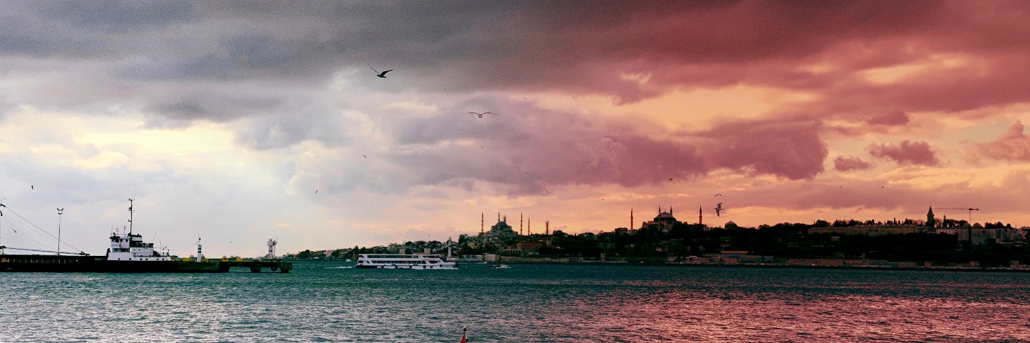 ErdoganLev's profile banner image