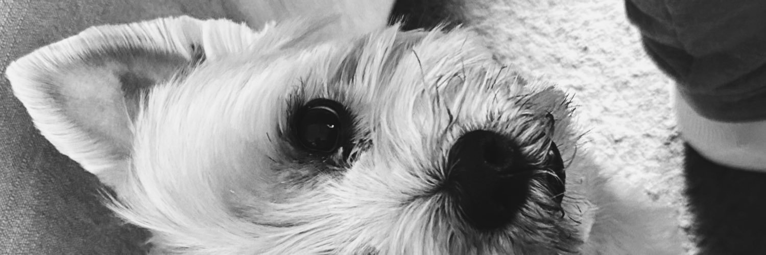 A🦭 banner
