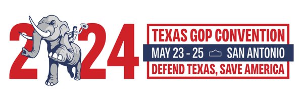 Texas GOP Profile Banner