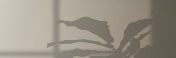 Nazaret Camarena banner