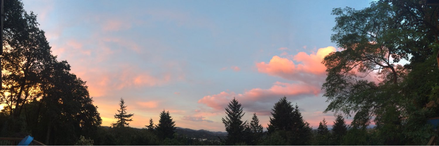 MegWilliams111's profile banner image
