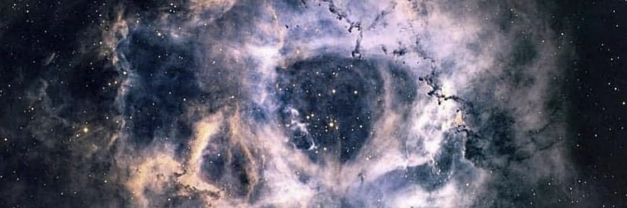 copethapope banner