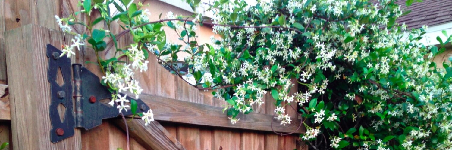 Leslie Santamaria, MFA banner