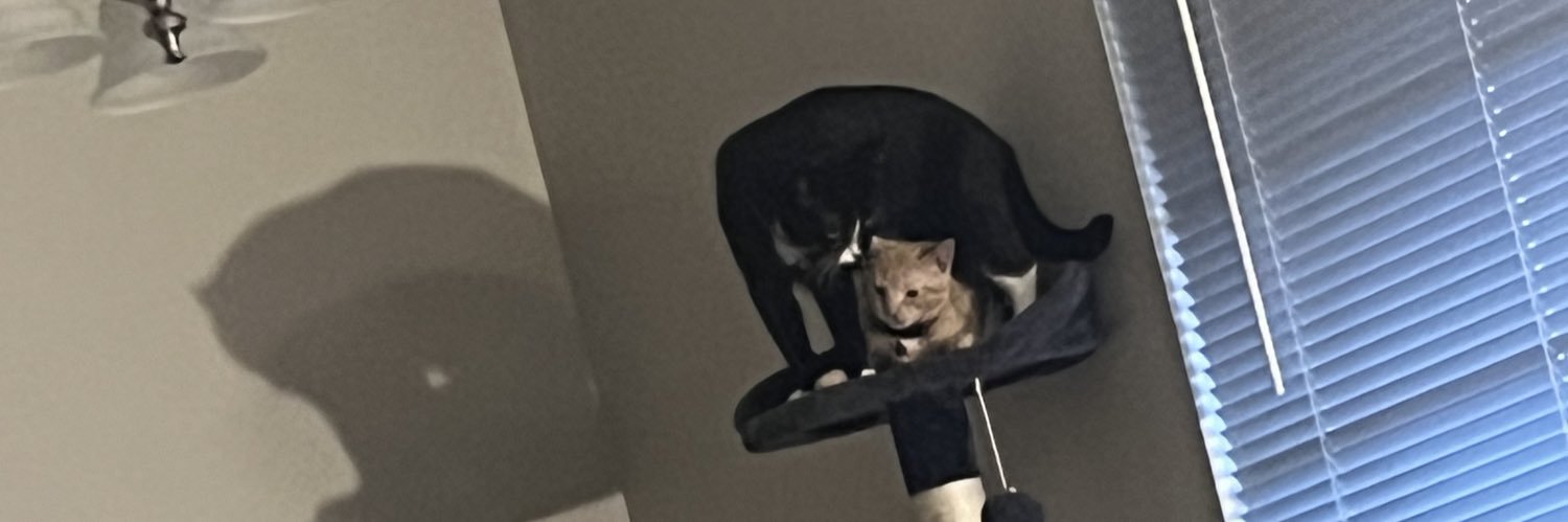 riadavis62's profile banner image