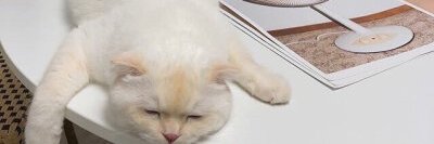 alfayroz13's profile banner image