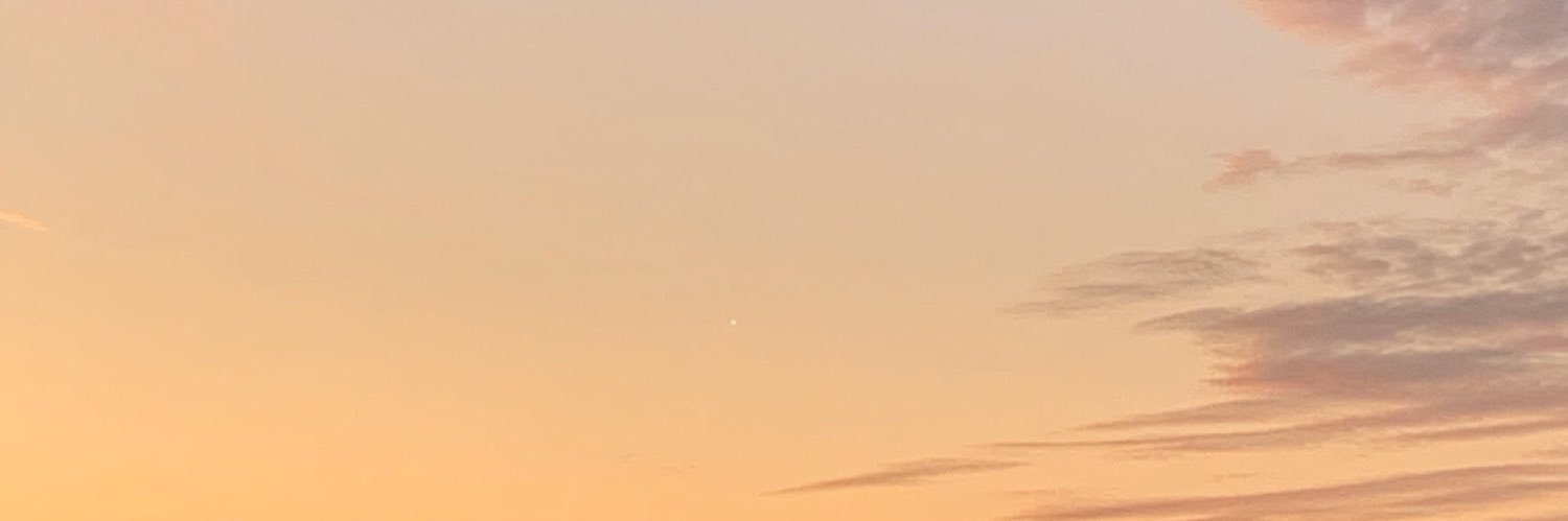 leafton_'s profile banner image