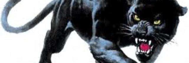 pantherprogress's profile banner image