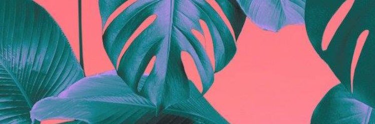 jbrown_'s profile banner image
