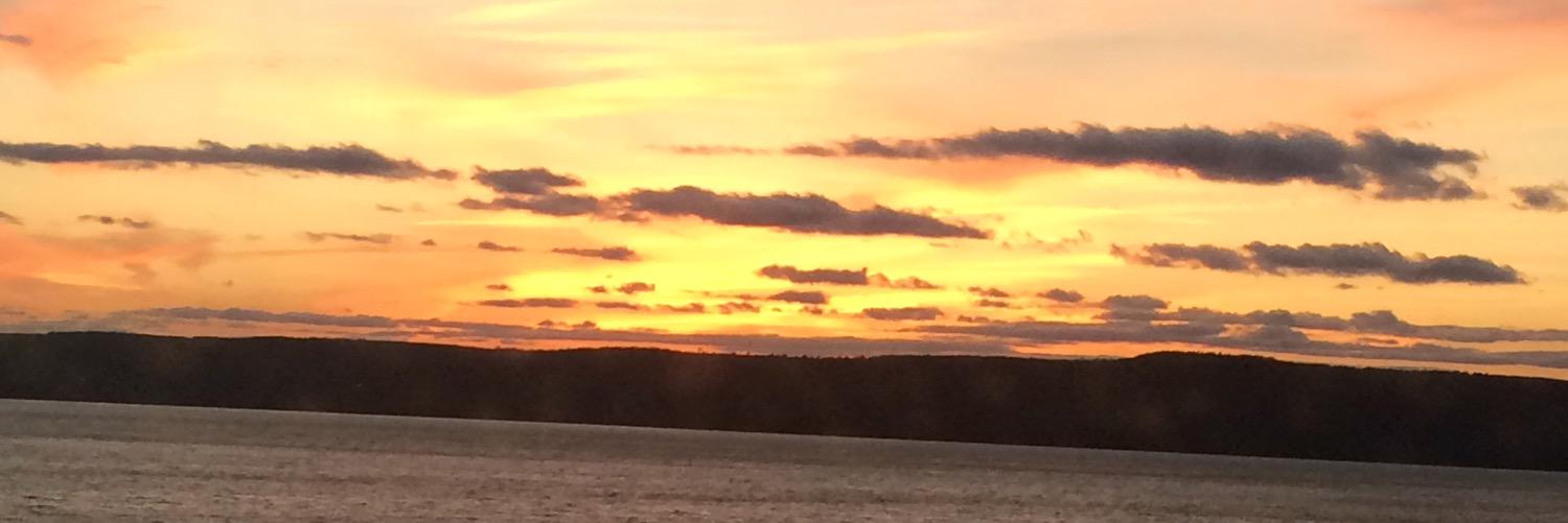 liz_mae's profile banner image