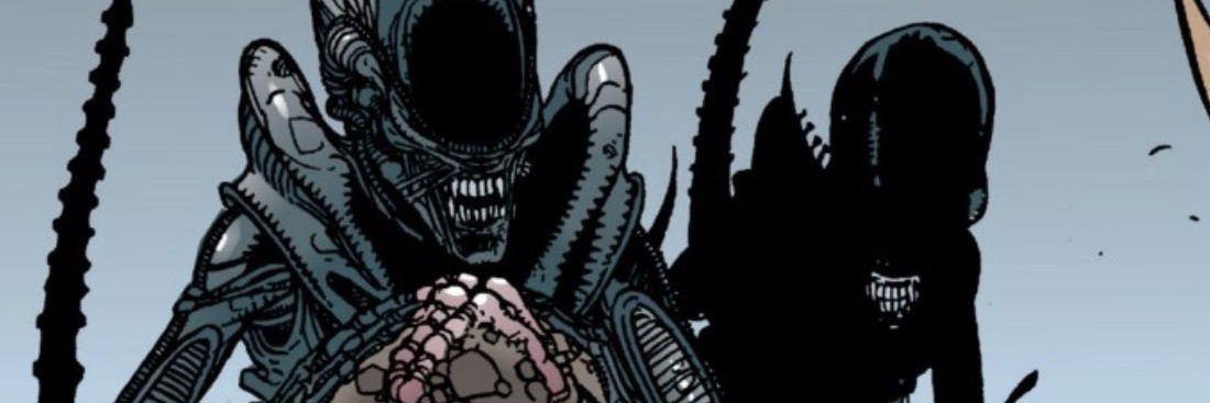Neomorfo's profile banner image