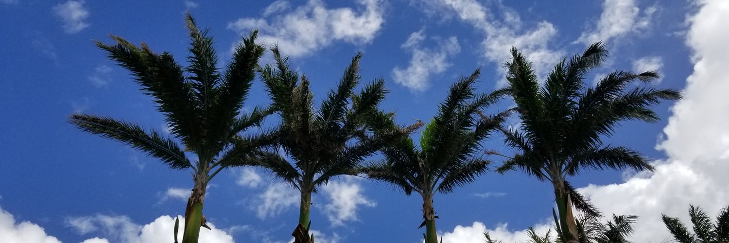 soccidas's profile banner image