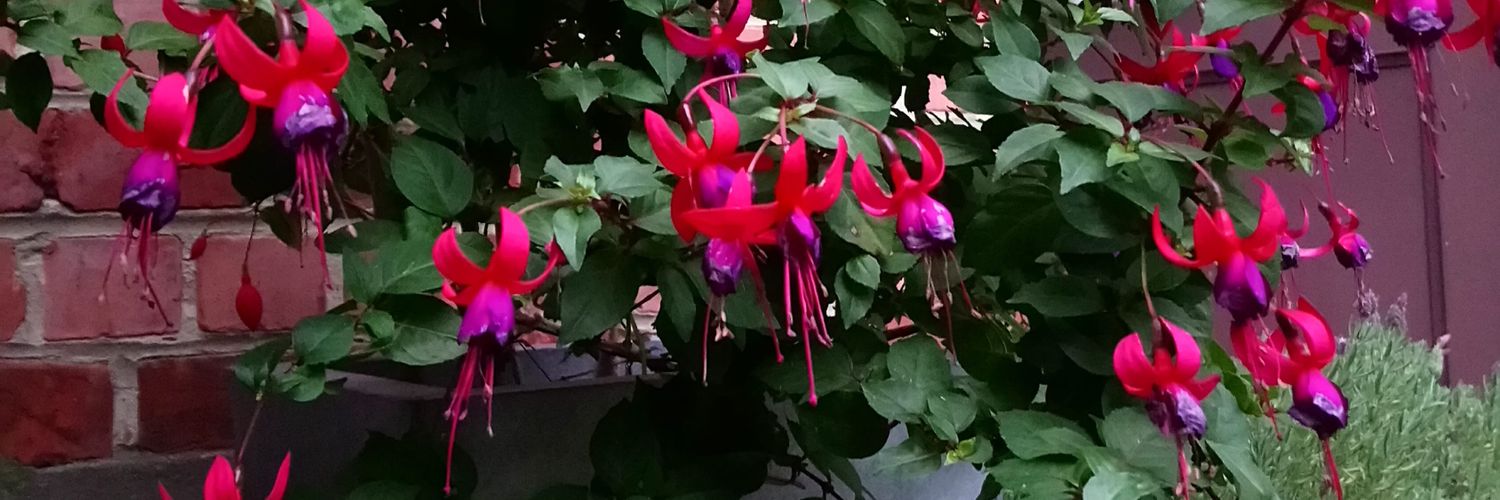 PlantMama 🌱 banner