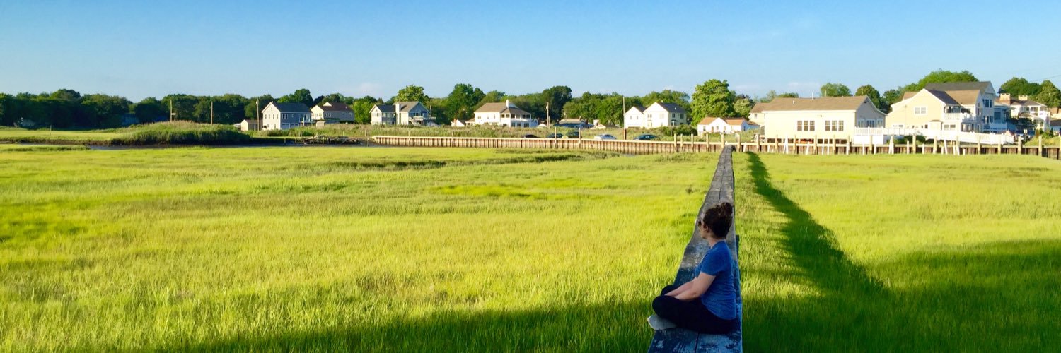 stephalemire's profile banner image