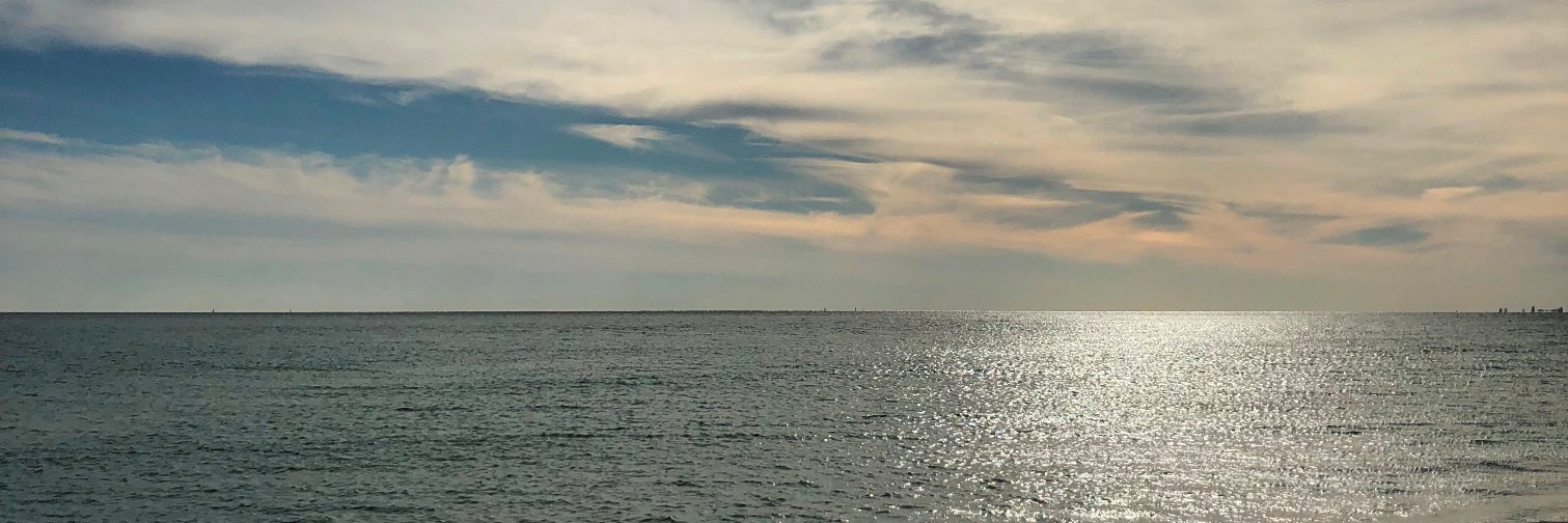 Teresatini's profile banner image