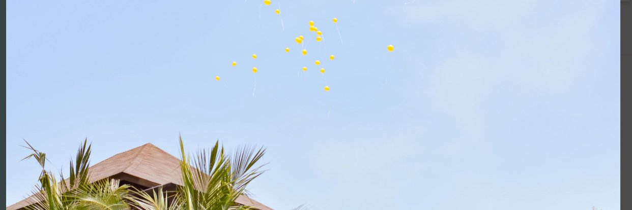 MGSTY2's profile banner image