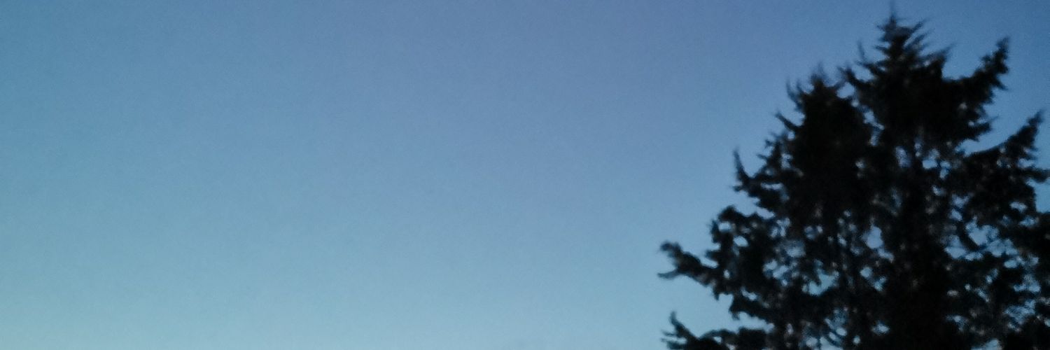 Cayla Galbraith banner