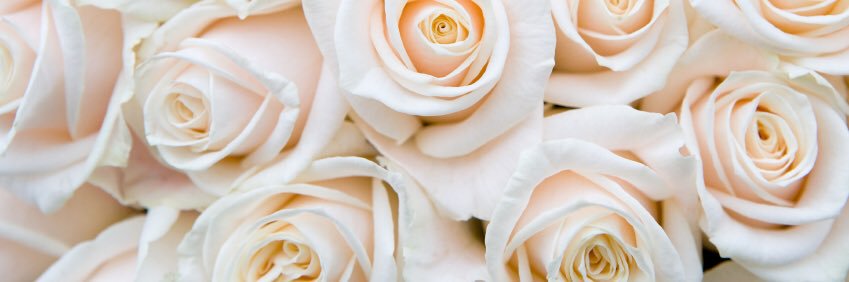 TheA_MandaShow's profile banner image
