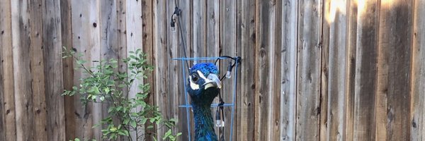 gregmart Profile Banner