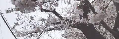 Danitza_kchp's profile banner image
