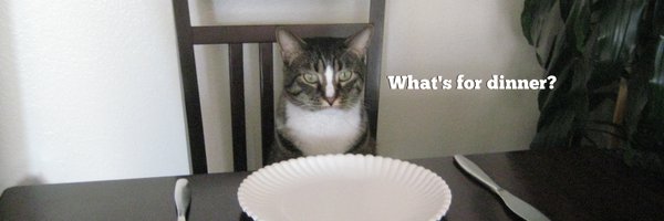 BlogandRetire Profile Banner