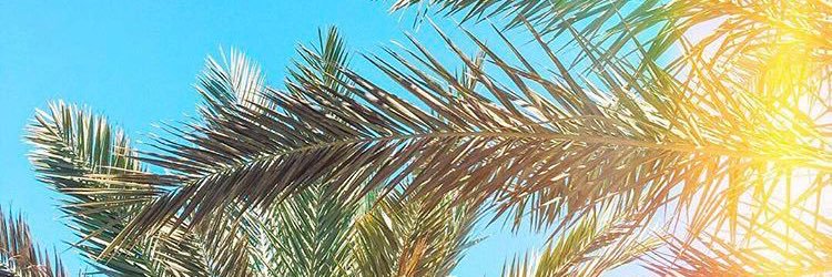 Aladdddin's profile banner image