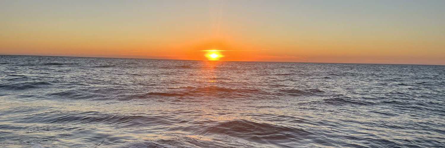 Misty Wilson, Ed.D banner