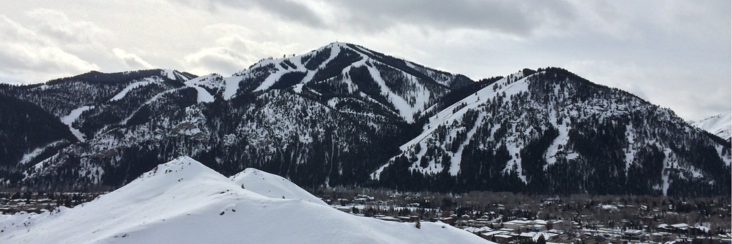 Adam Biehler banner