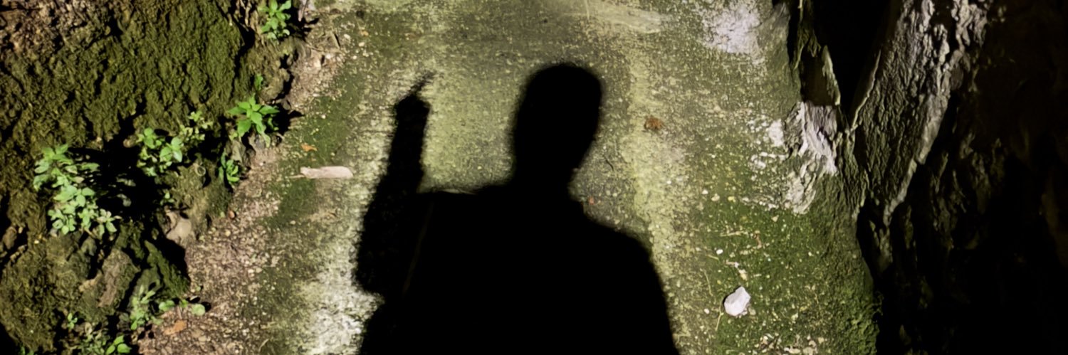 EnnioSalomone's profile banner image