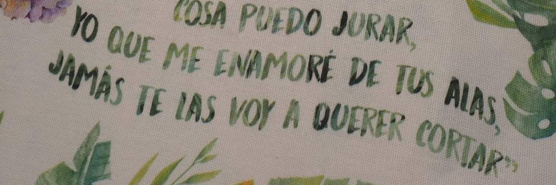 Zilvika de verano banner