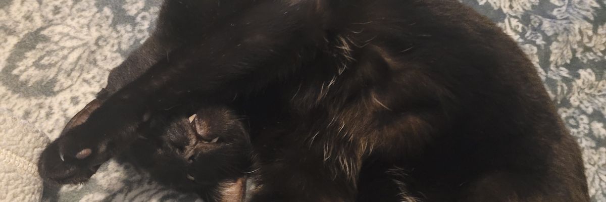 Logan banner