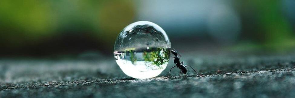 Frédéric Goulet banner