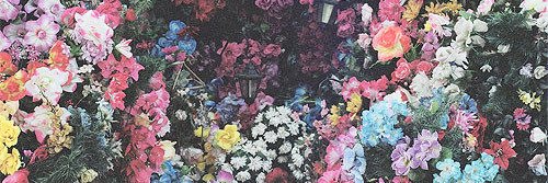 imariasoveral's profile banner image