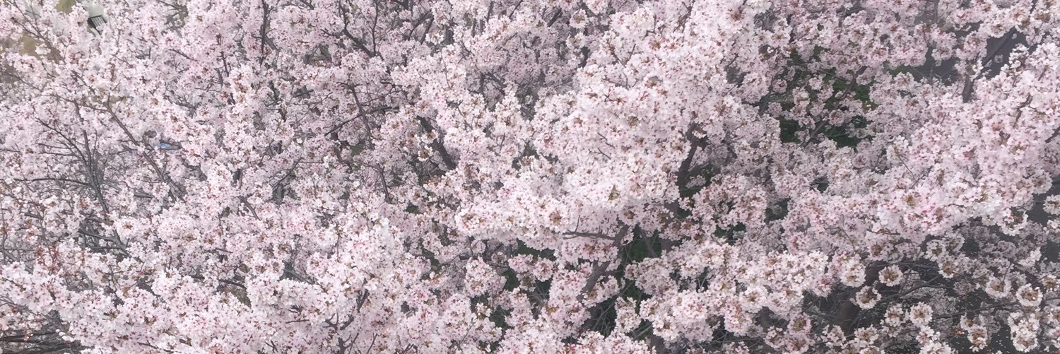 Dearpalpasa's profile banner image