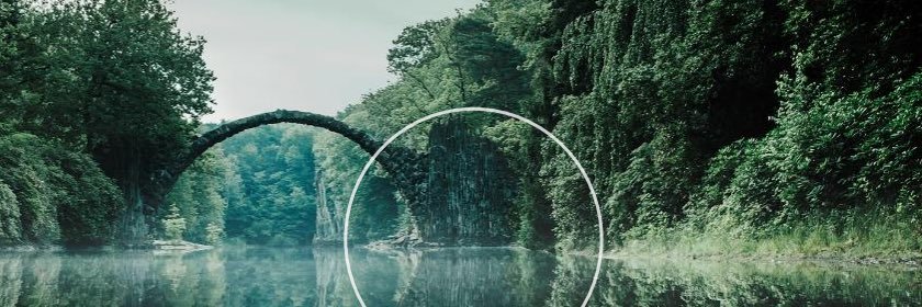 ladelty71's profile banner image