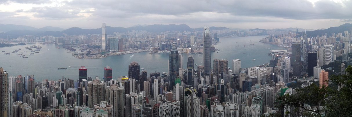 Sandra Navarro banner