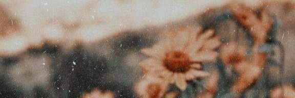 nnznth's profile banner image
